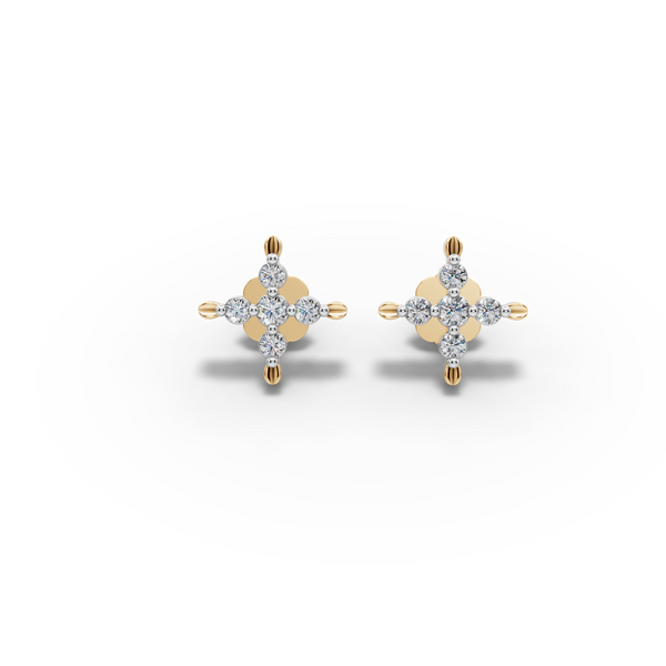 Golden Crown Earrings